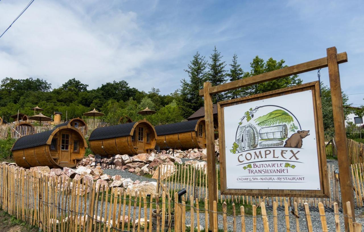 Complex Butoaiele Transilvaniei - Cazare & Spa - Natura - Relaxare Mediaş Exterior foto