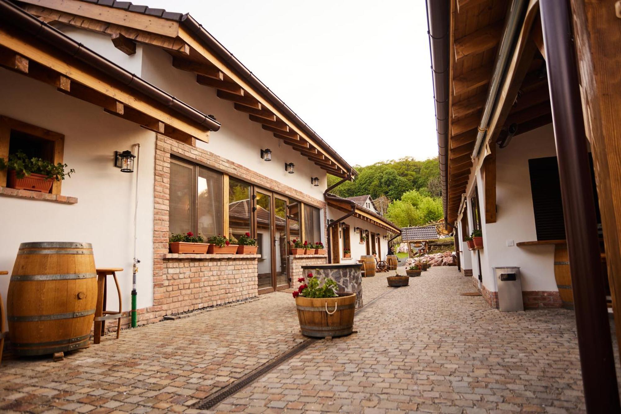 Complex Butoaiele Transilvaniei - Cazare & Spa - Natura - Relaxare Mediaş Exterior foto